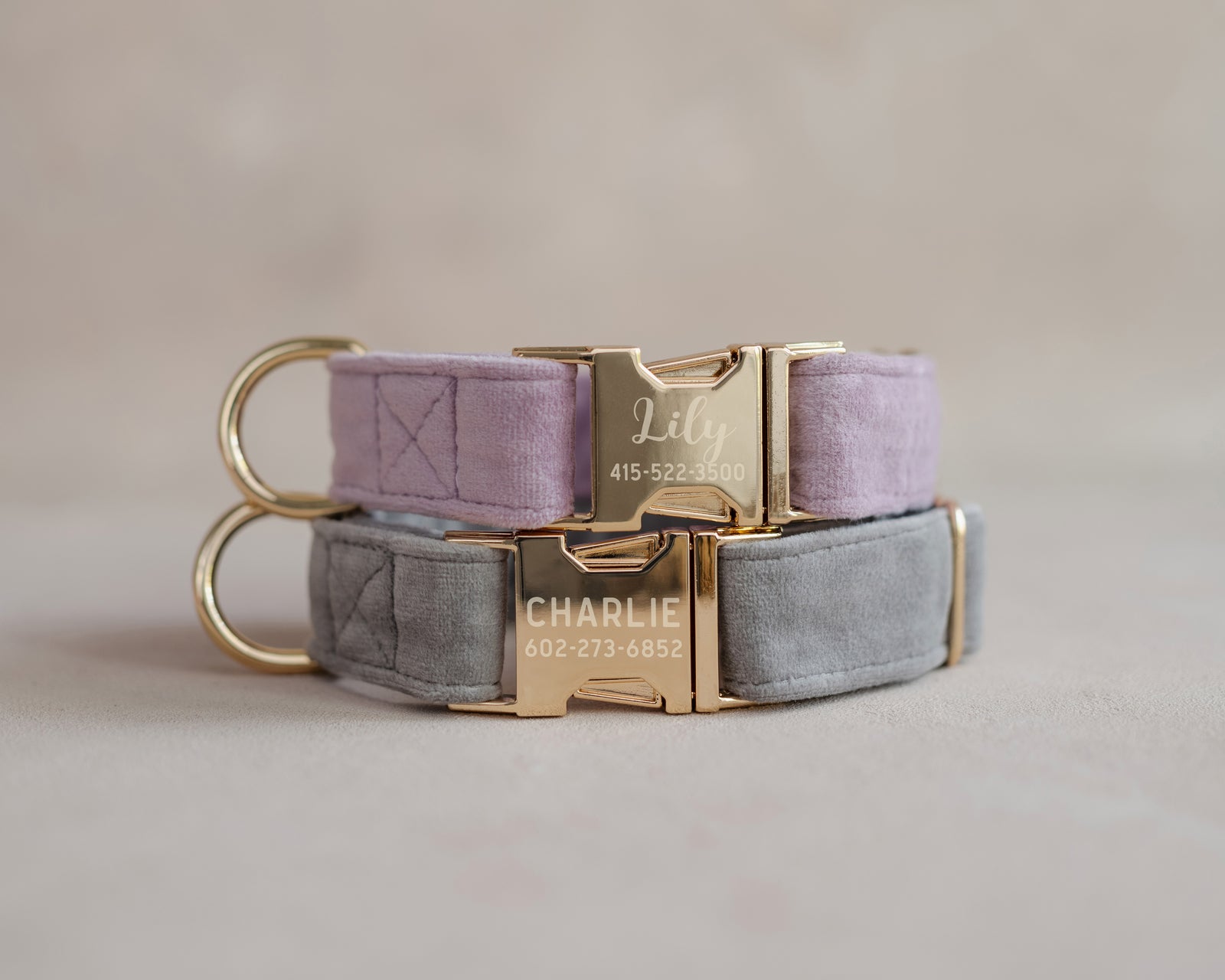 Velvet Dog Collar with fast release buckle