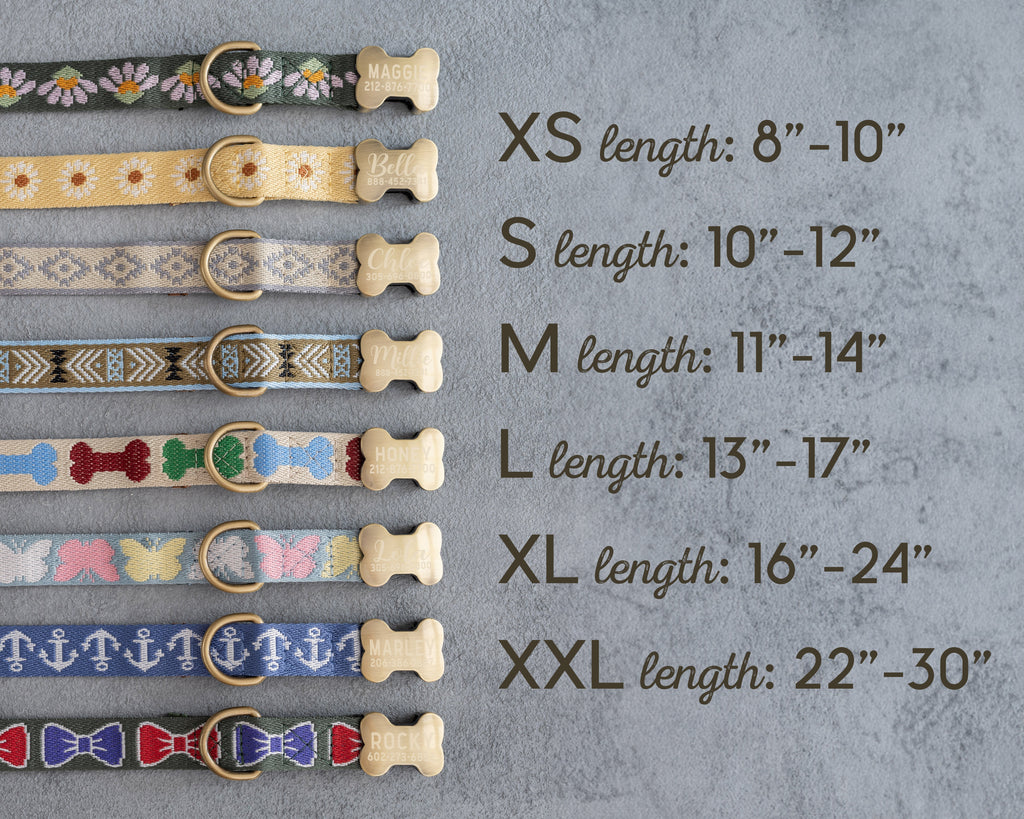 Personalized dog collar with name engraved