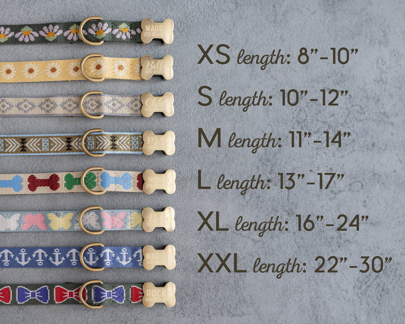 Engraved dog collar in variety of webbing designs