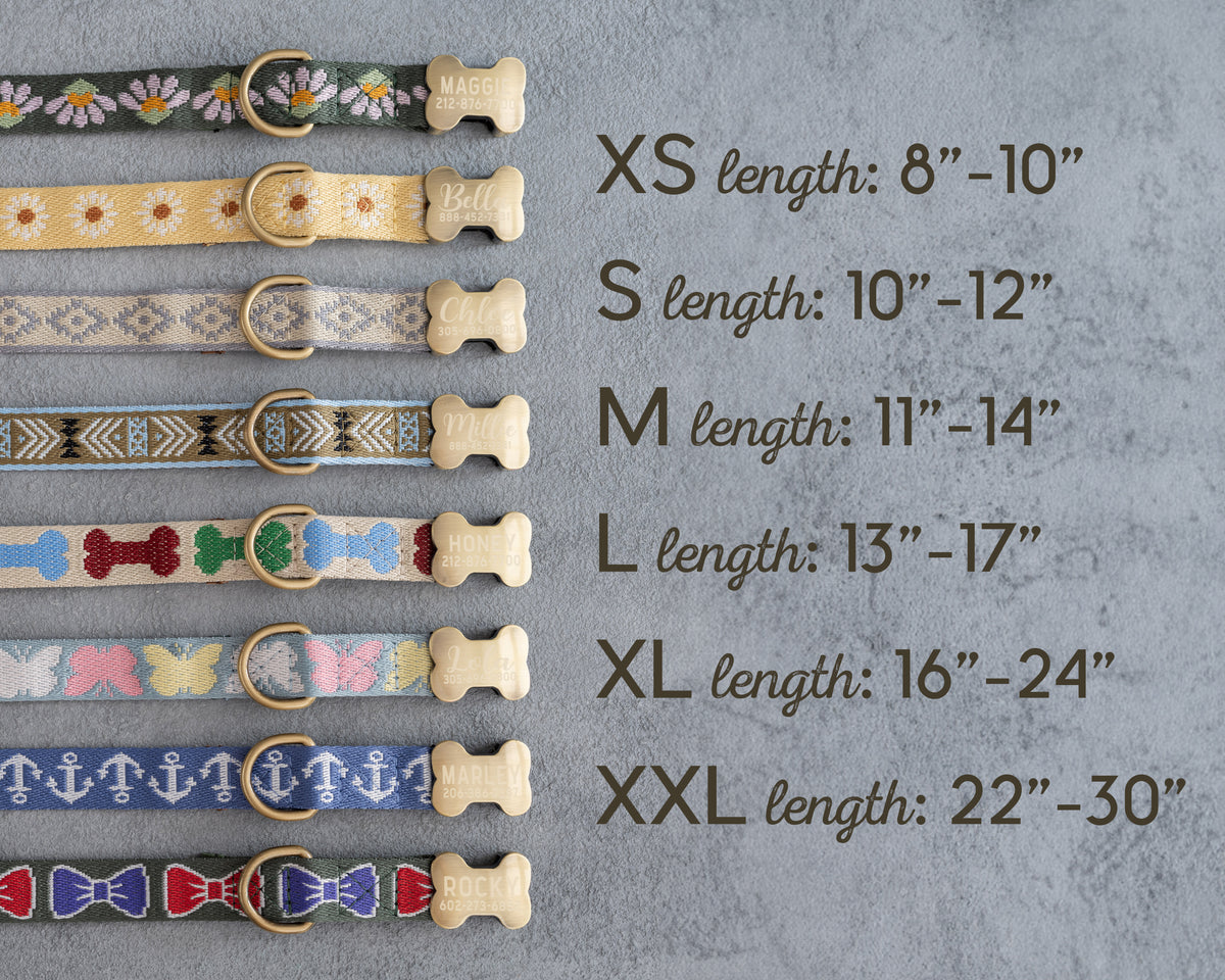 Webbing dog collar size chart from XS 8–10 in to XXL 22–30 in