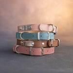 Dog collar with a name plate