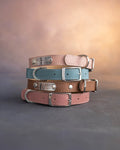 Dog collar with a name plate