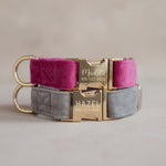 Velvet Dog Collar with fast release buckle