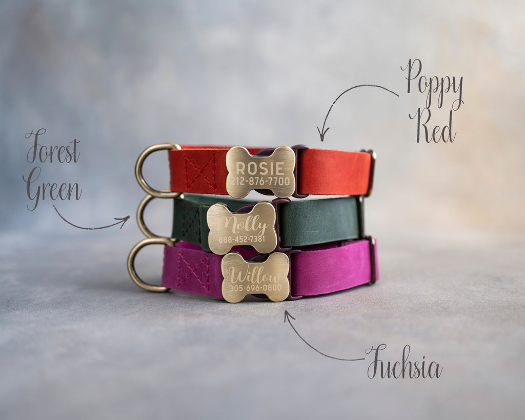 Personalized leather dog collar in variety of leather designs