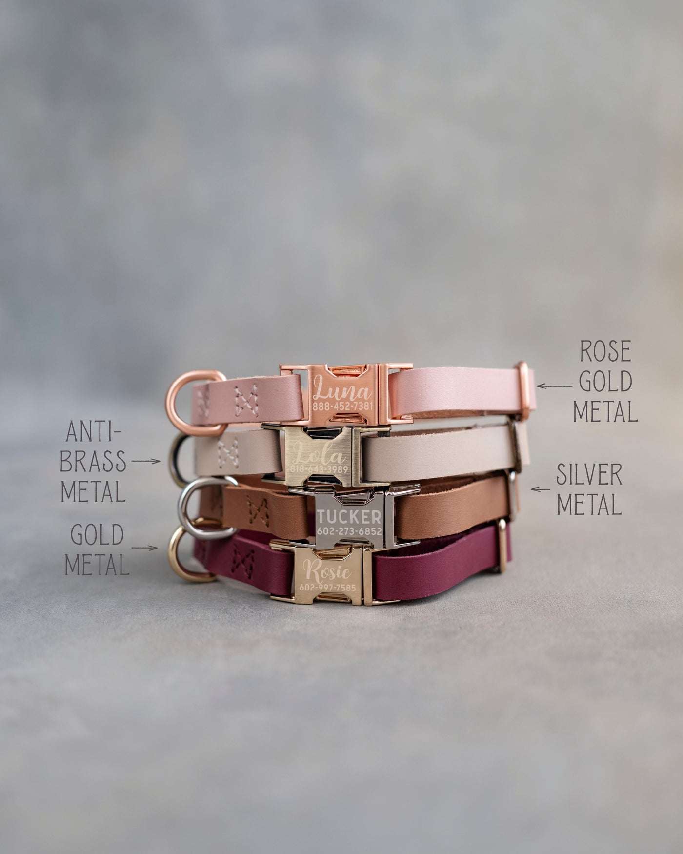 Personalized leather puppy collar