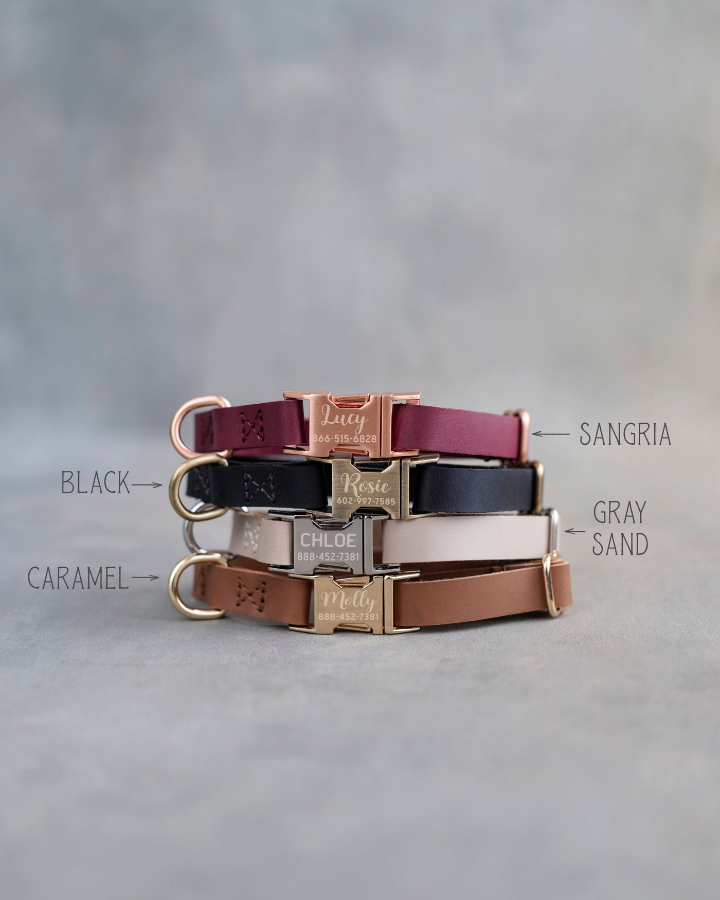 Personalized leather dog collar for small dogs