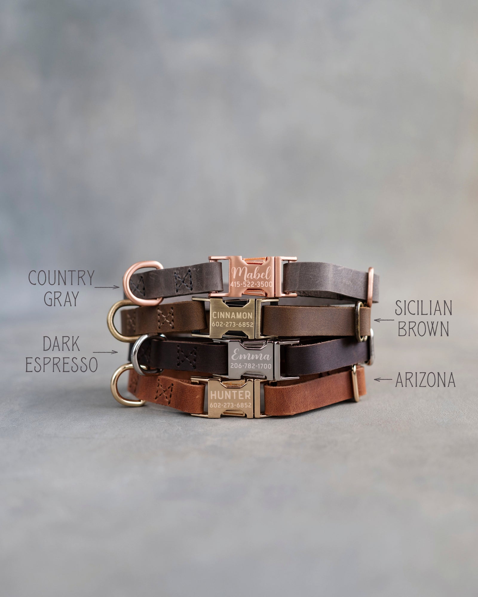 Personalized leather dog collar for small dogs