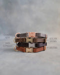 Personalized leather puppy collar