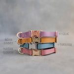 Personalized leather dog collar for small dogs