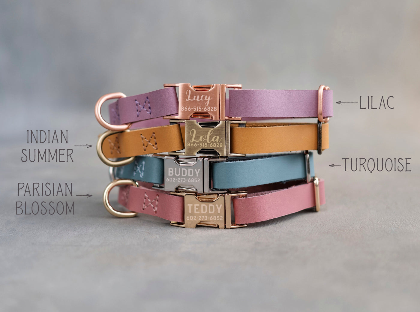 Personalized leather puppy collar