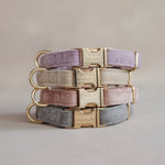 Velvet Dog Collar with fast release buckle