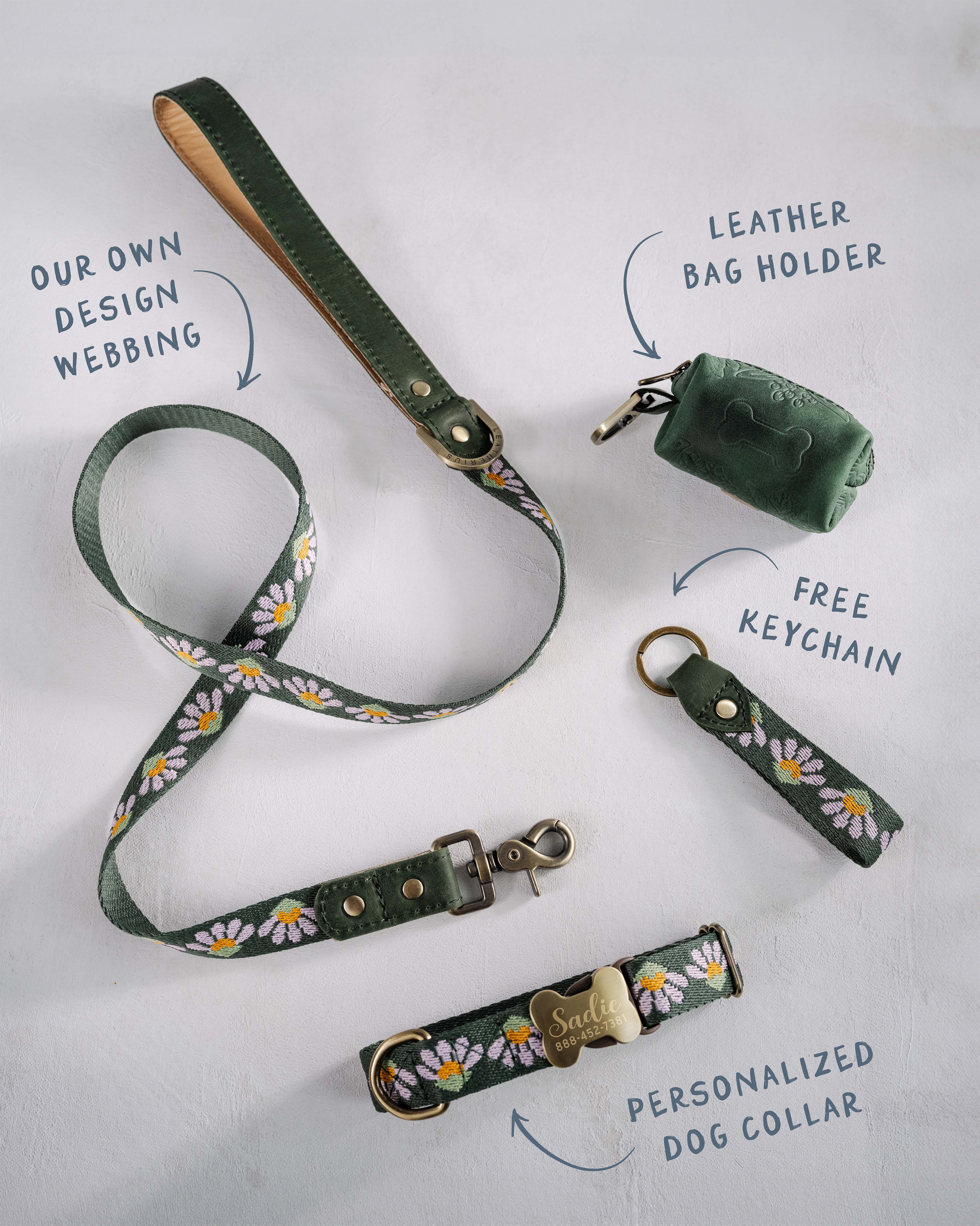 Custom dog collar in variety of designs