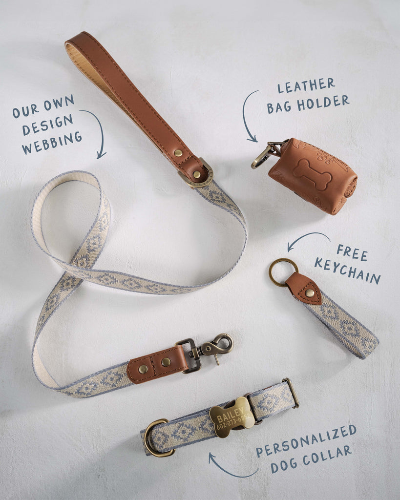 Personalized dog collar in the cutest webbing designs