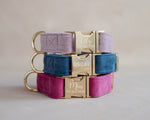 Velvet Dog Collar with fast release buckle