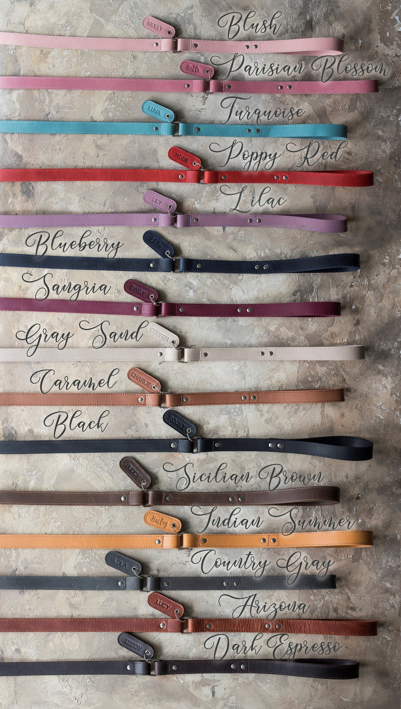 Personalized Leather Dog Leash