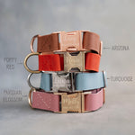 Leather dog collars in Arizona, Poppy Red, Turquoise and Parisian Blossom with engraved buckles (1 in collars shown; the large collar is the same, cut 1¼, 1½ or 2 in wide with an Anti-Brass buckle)