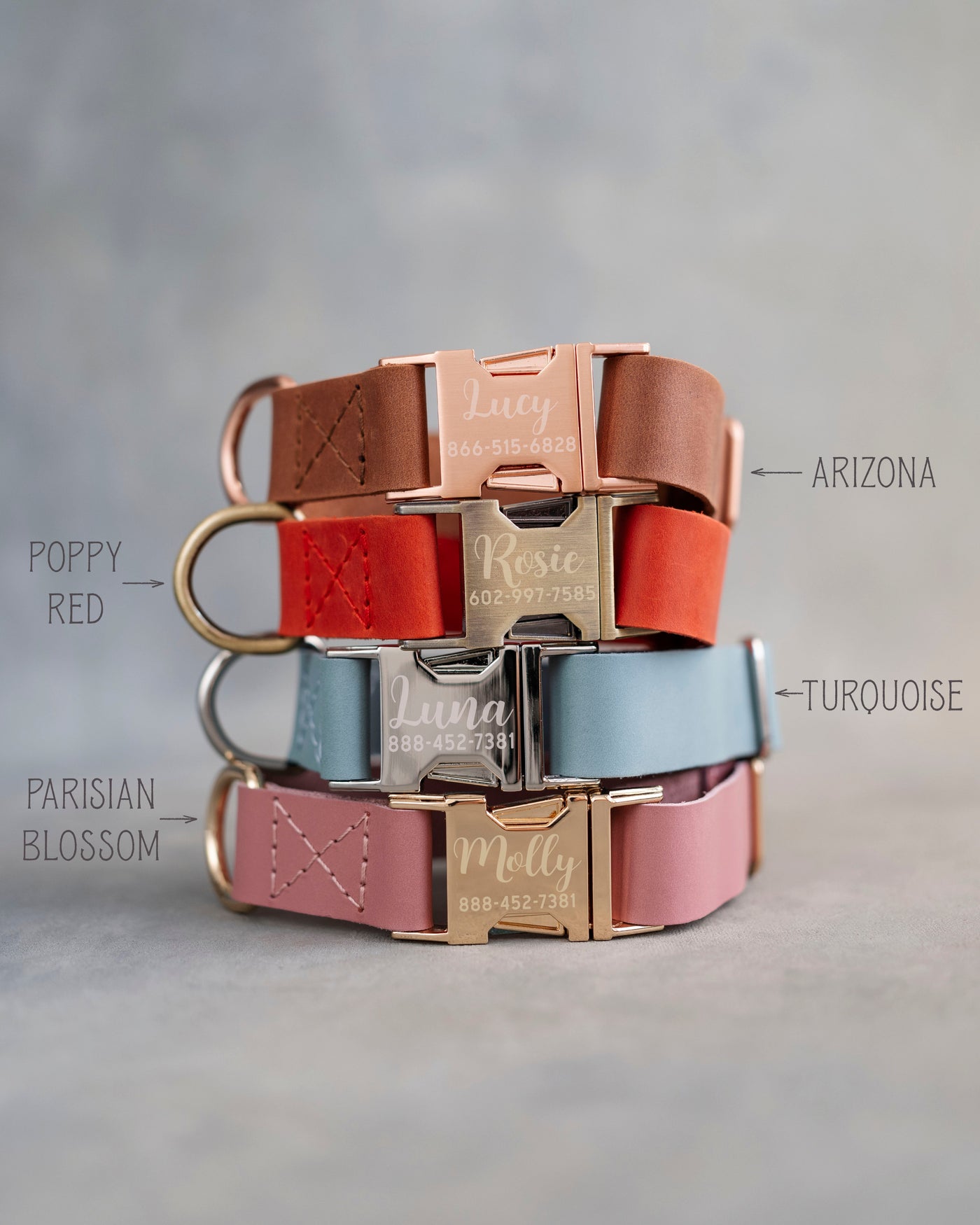 Personalized leather puppy collar
