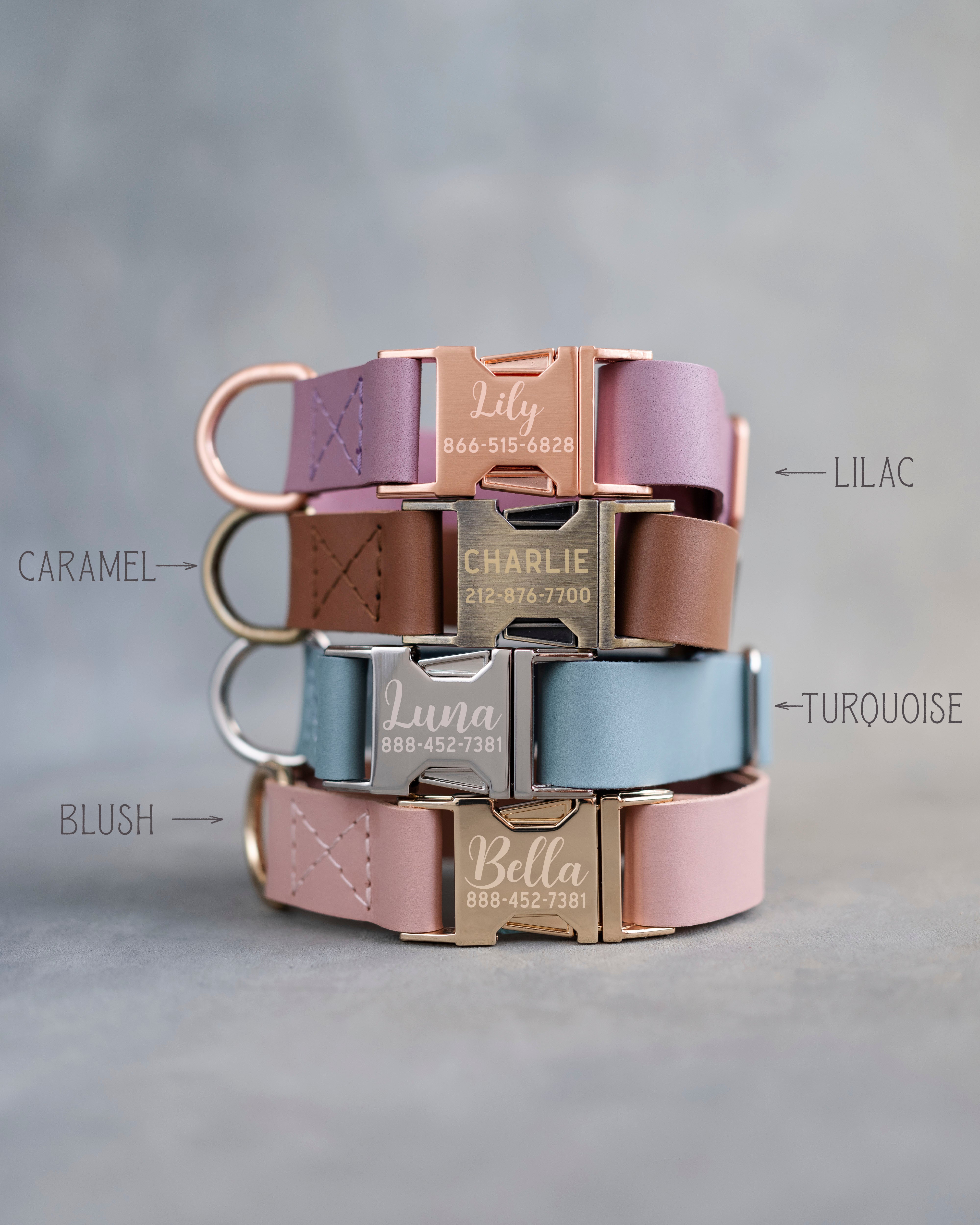Personalized leather dog collar for small dogs