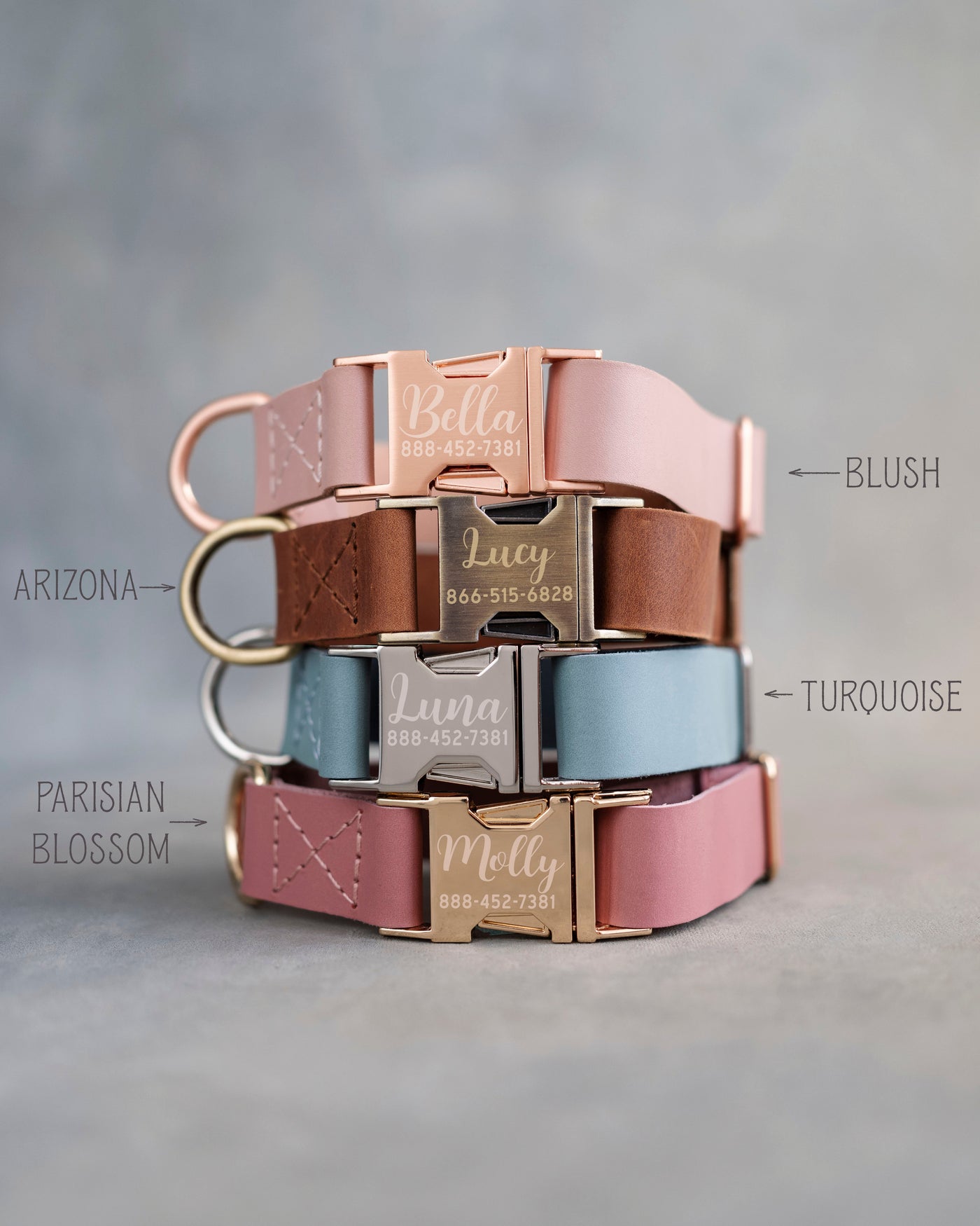 Personalized leather dog collar for small dogs