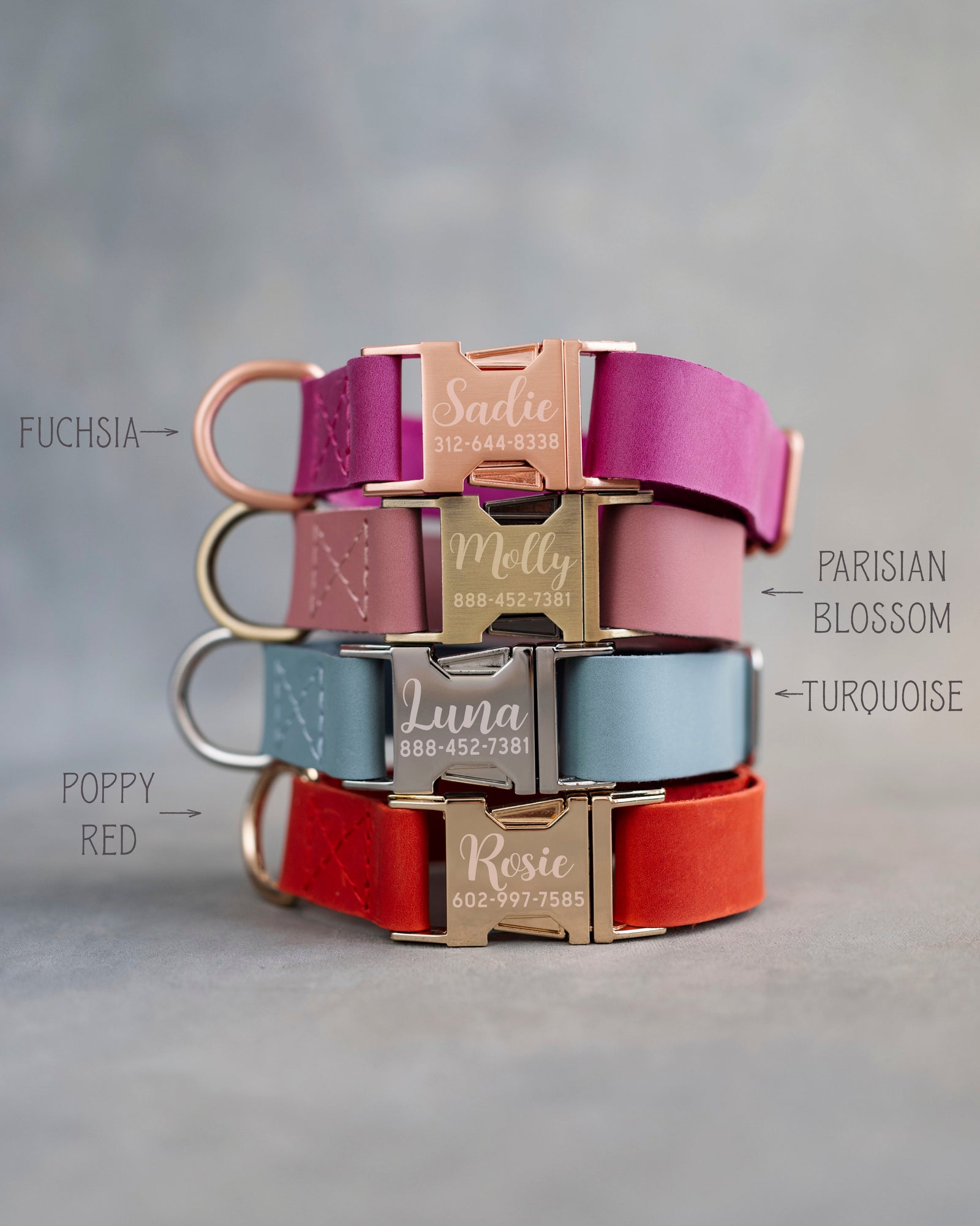Personalized leather dog collar for small dogs