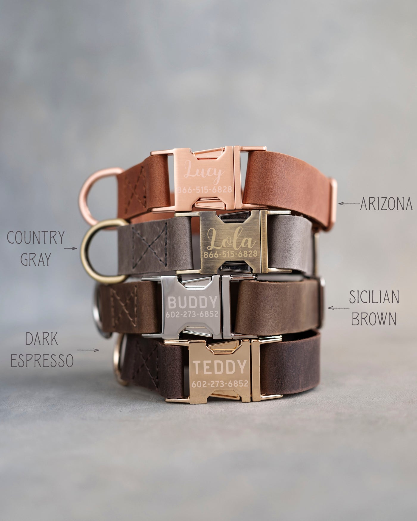 Personalized leather dog collar for small dogs