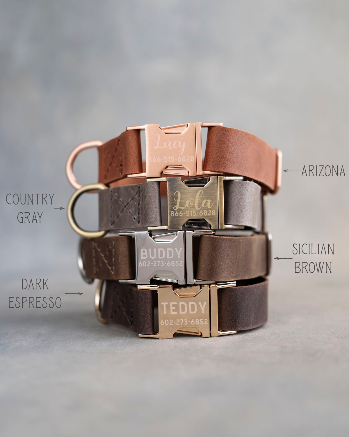 Leather dog collars in Arizona, Country Gray, Sicilian Brown and Dark Espresso with engraved quick release buckles (1 in collars shown; the large collar is the same, cut 1¼, 1½ or 2 in wide with an Anti-Brass buckle)