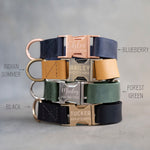 Leather dog collars in Blueberry navy, Indian Summer orange, Forest Green and Black with engraved buckles (1 in collars shown; the large collar is the same, cut 1¼, 1½ or 2 in wide with an Anti-Brass buckle)