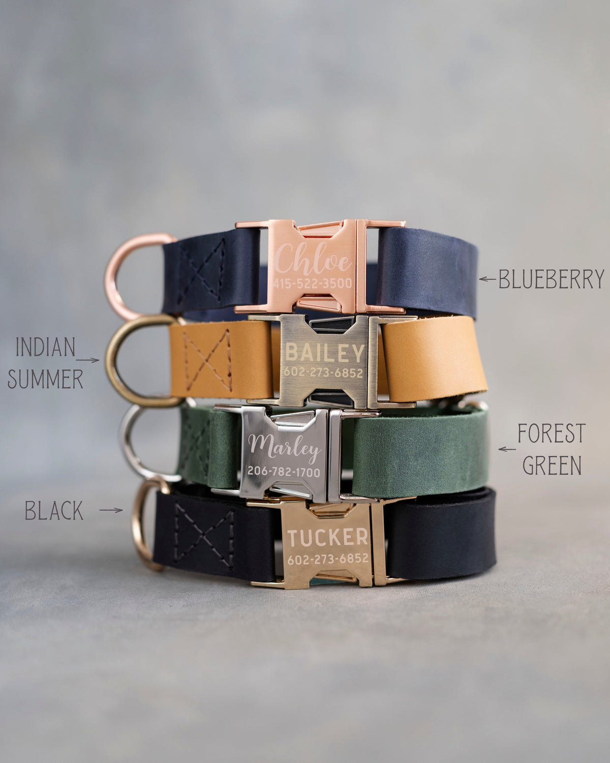 Leather dog collars in Blueberry navy, Indian Summer orange, Forest Green and Black with engraved buckles (1 in collars shown; the large collar is the same, cut 1¼, 1½ or 2 in wide with an Anti-Brass buckle)