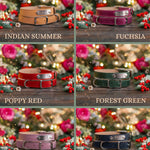 Dog collar with a name plate