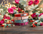 Dog collar with a name plate