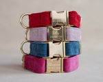 Velvet Dog Collar with fast release buckle