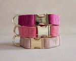 Velvet Dog Collar with fast release buckle