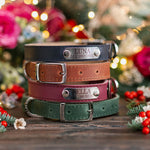 Dog collar with a name plate