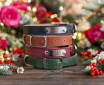 Dog collar with a name plate