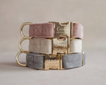 Velvet Dog Collar with fast release buckle