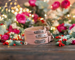 Dog collar with a name plate