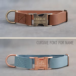 Font choice for the dog's name: straight capitals on a caramel leather collar, cursive on a light blue one