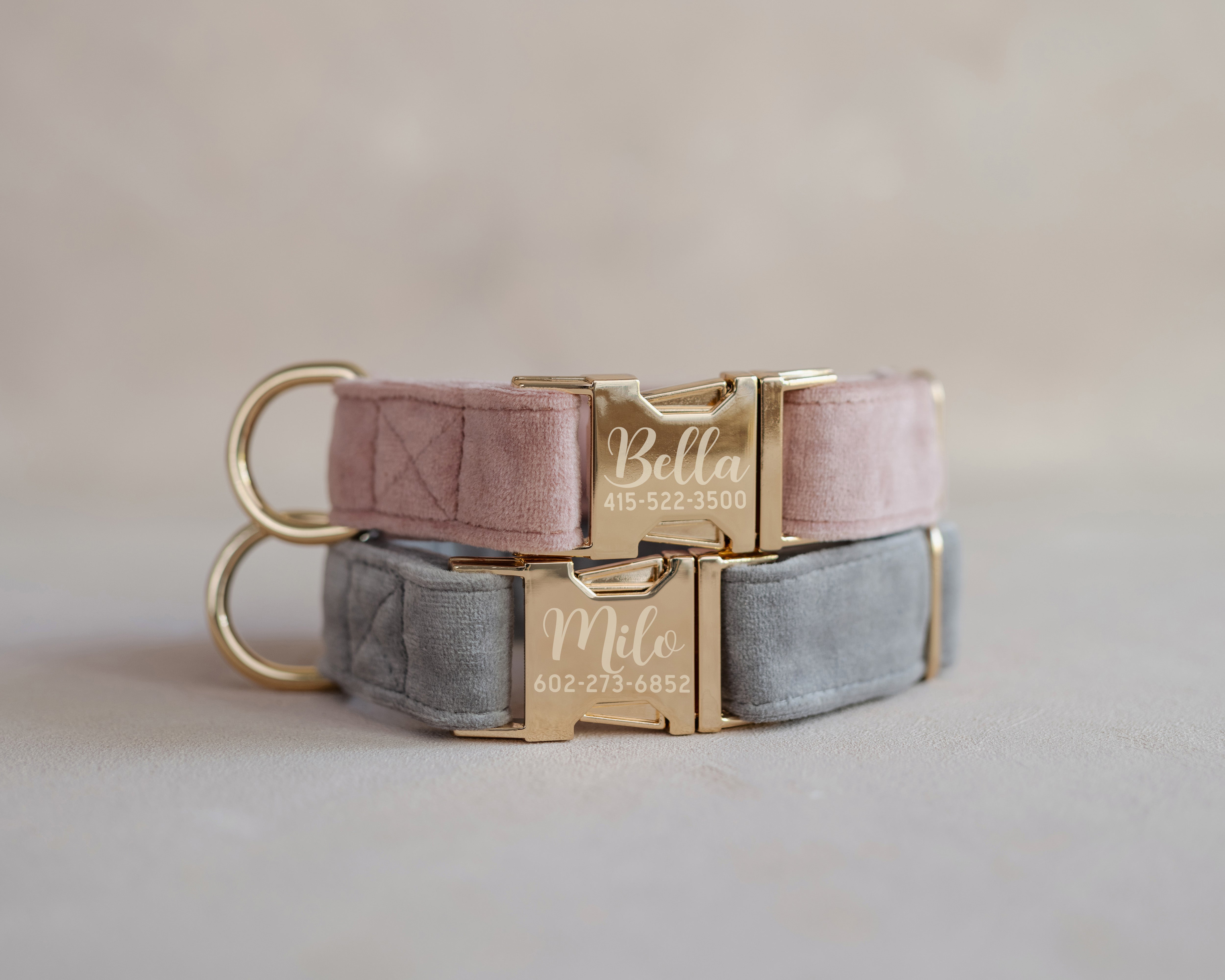 Velvet Dog Collar with fast release buckle