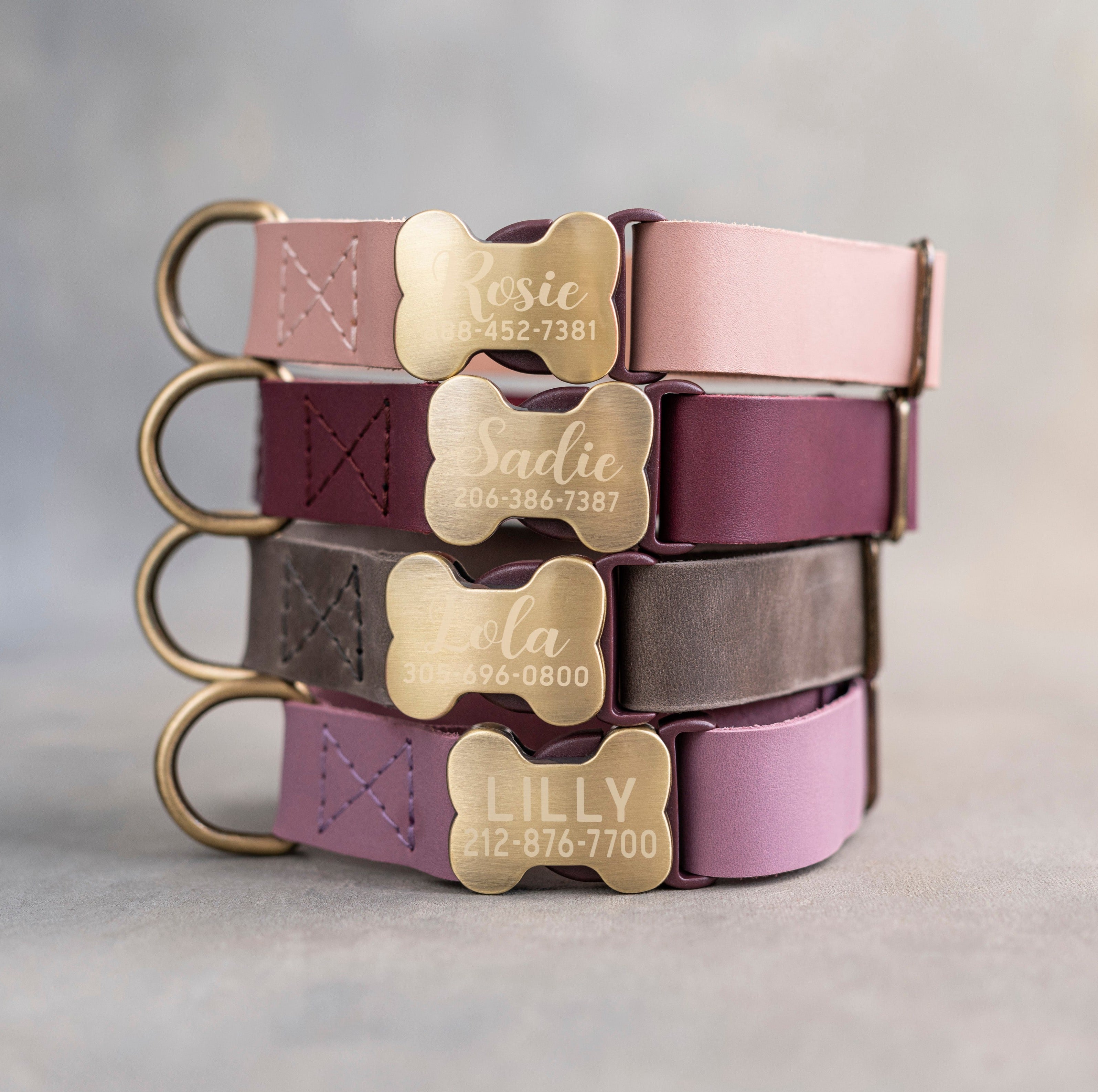 Personalised puppy collar