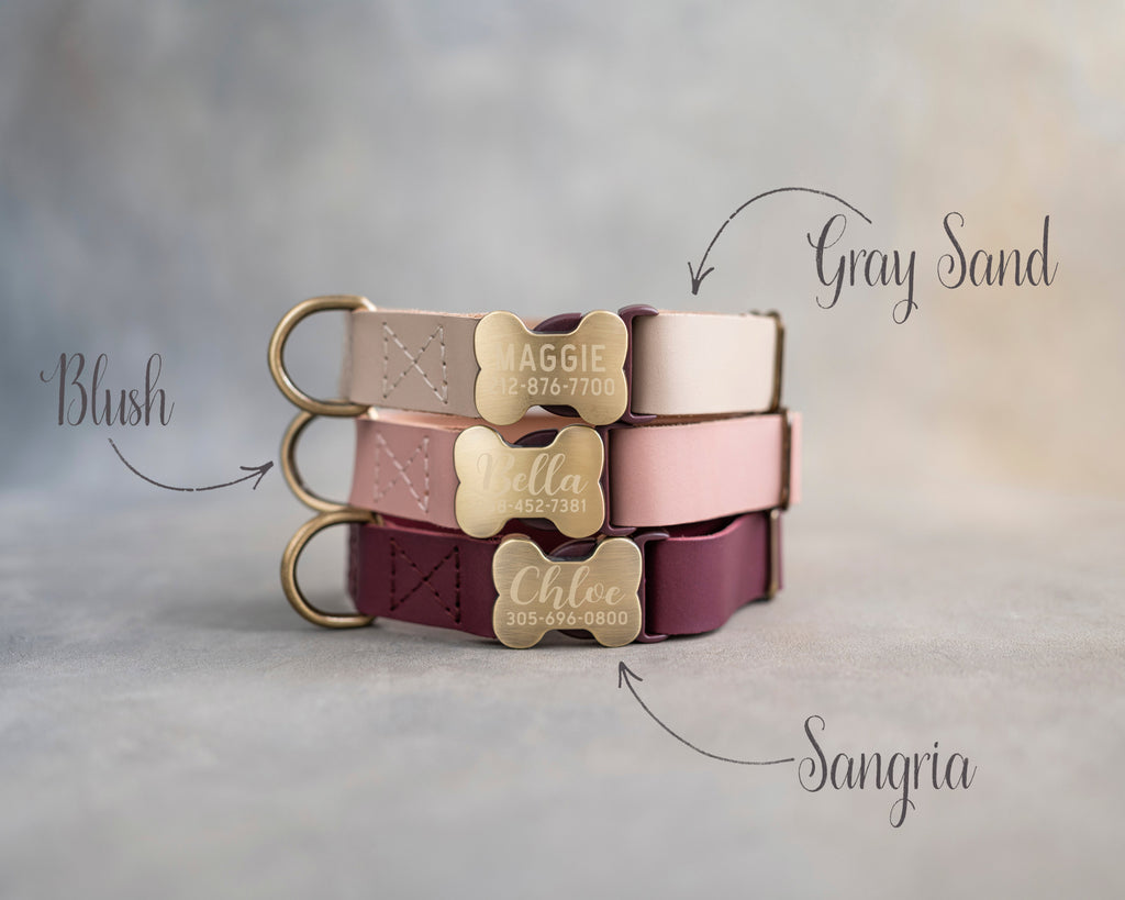 Personalized leather dog collar for smaller dogs