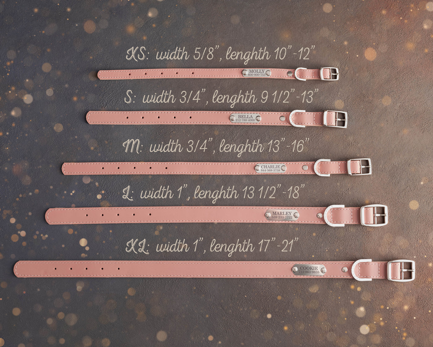Dog collar with a name plate