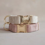Velvet Dog Collar with fast release buckle