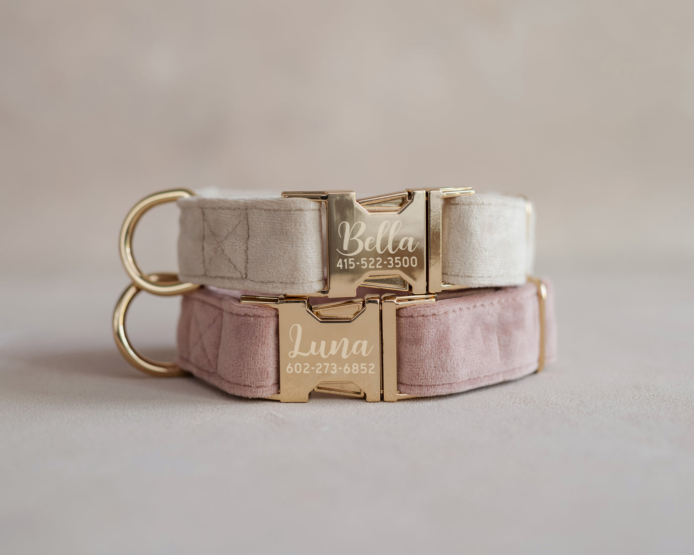 Velvet Dog Collar with fast release buckle