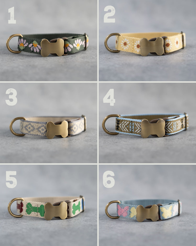 Personalized dog collar in variety of webbing designs
