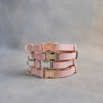 Light Pink dog collars in Blush full-grain leather, 5/8 in wide, with engraved quick release buckles in four finishes