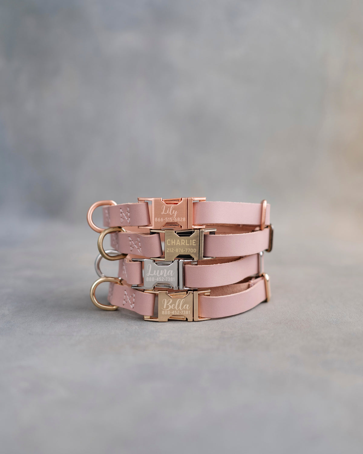 Light Pink dog collars in Blush full-grain leather, 5/8 in wide, with engraved quick release buckles in four finishes