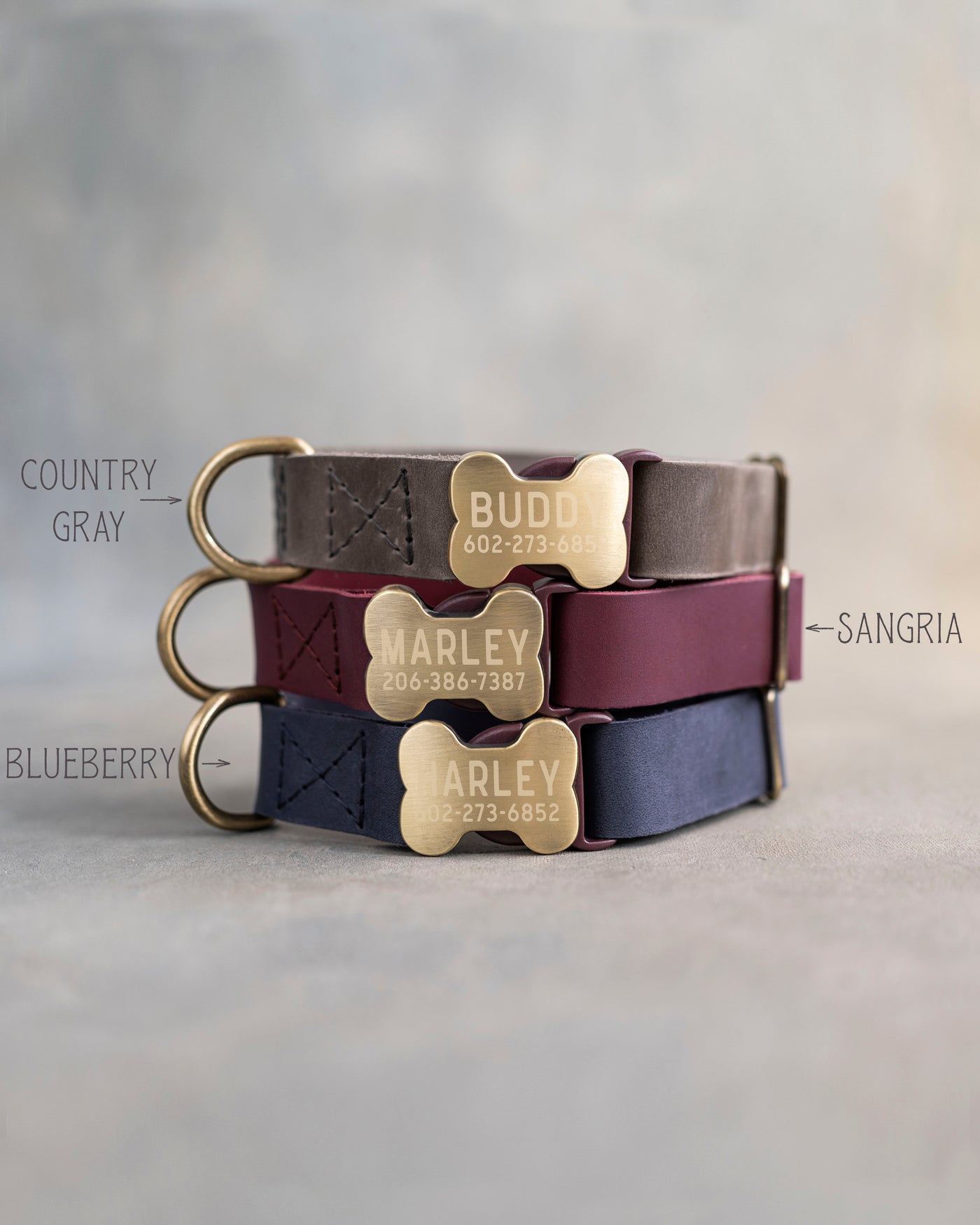 Leather Dog Collar With Bone-Shaped Buckle