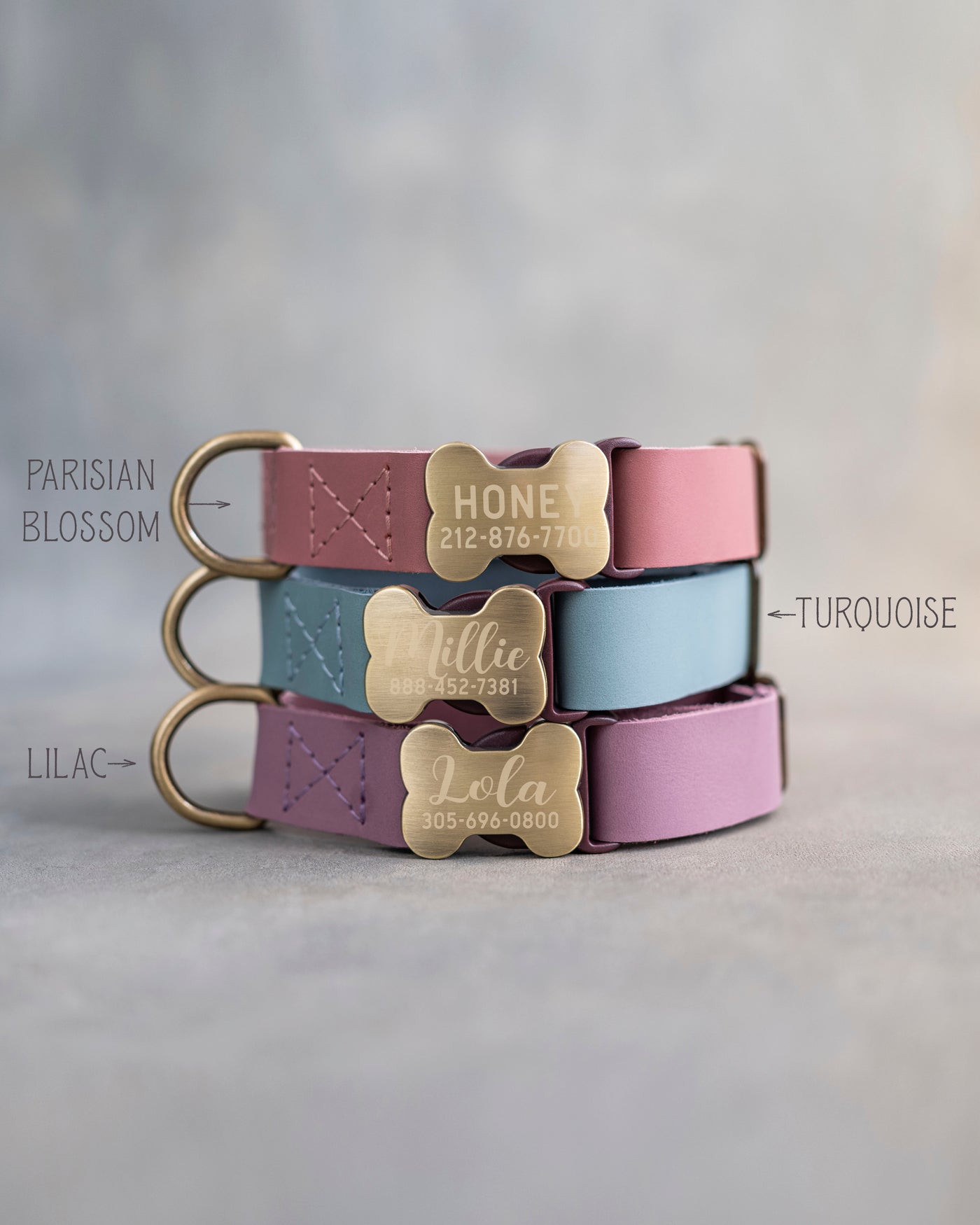 Leather Dog Collar With Bone-Shaped Buckle