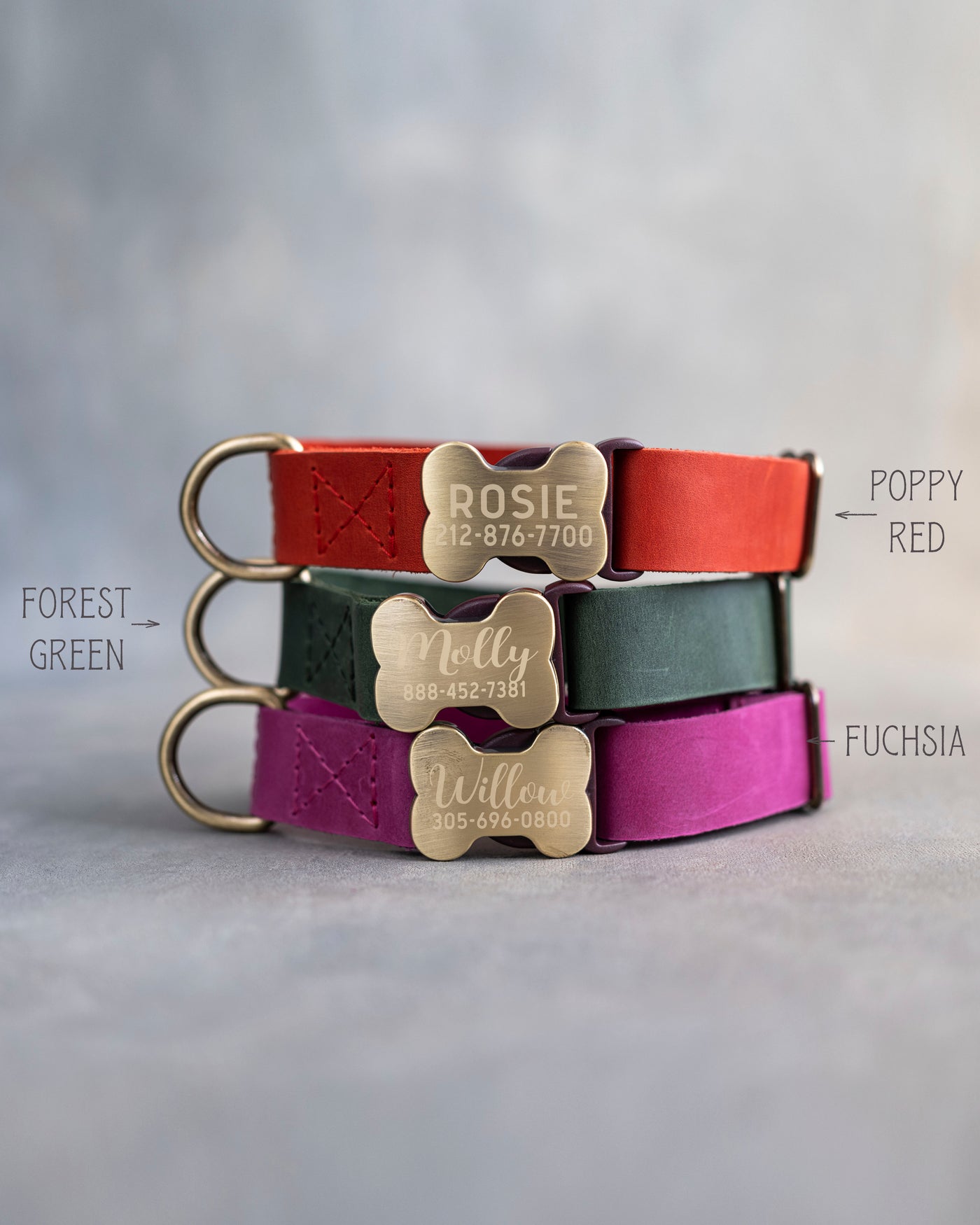 Leather Dog Collar With Bone-Shaped Buckle