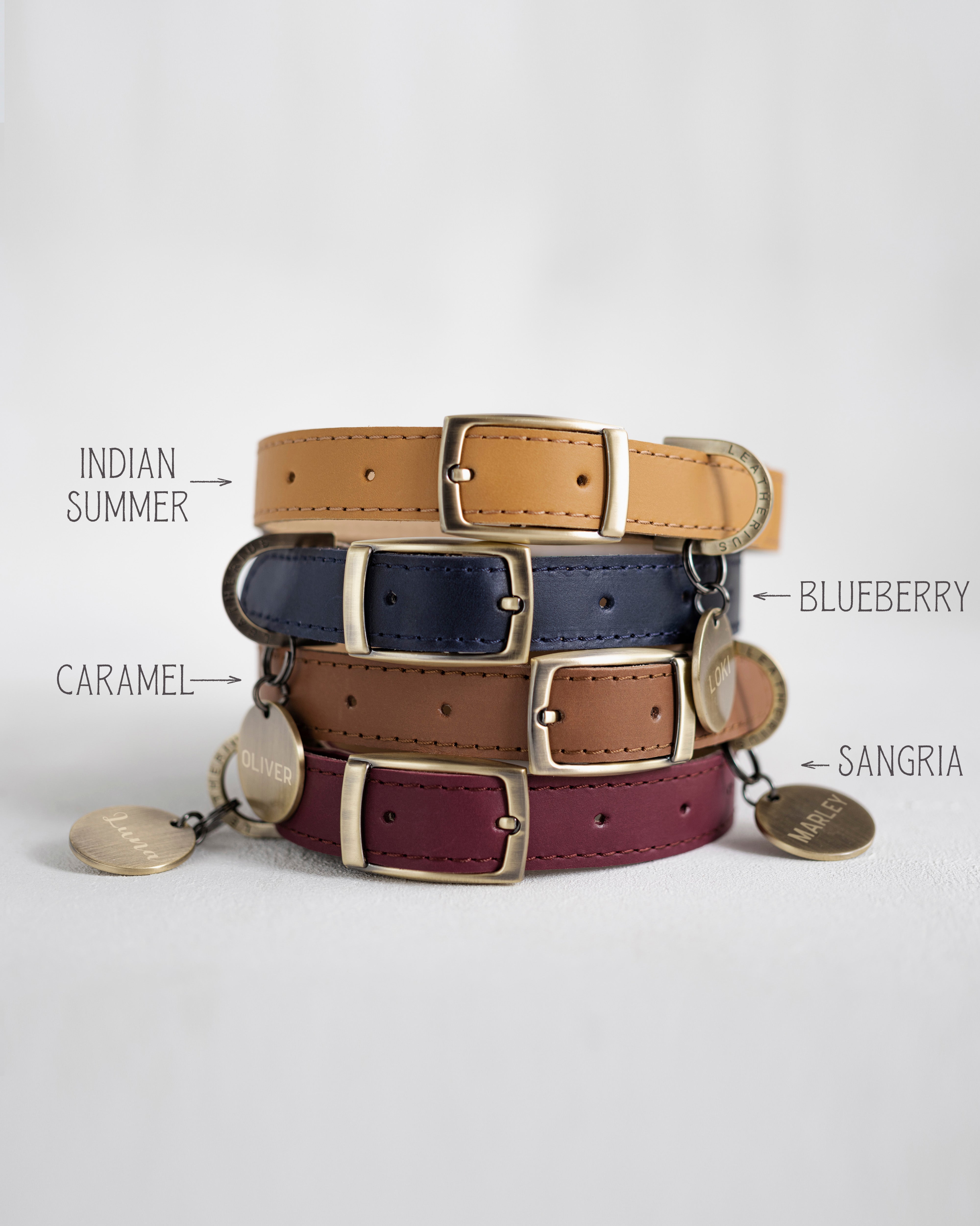 Personalized leather collar in variety of colors